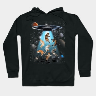 Cutest cats swiming in a galaxy Hoodie